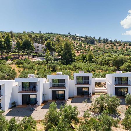 Olea Villas By Halu!, Cozy Villa In Nikiti Lagomandra Exterior foto