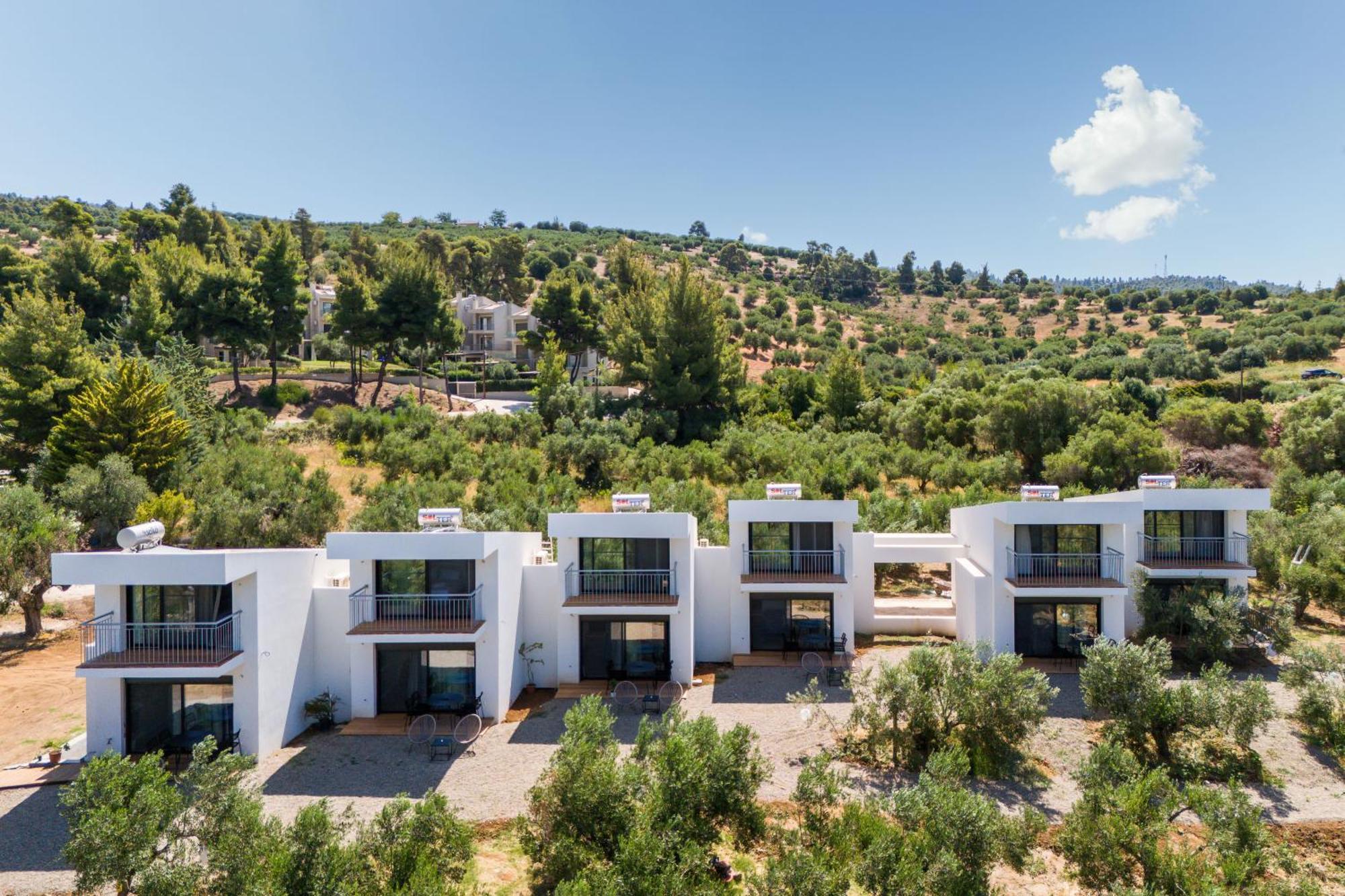 Olea Villas By Halu!, Cozy Villa In Nikiti Lagomandra Exterior foto