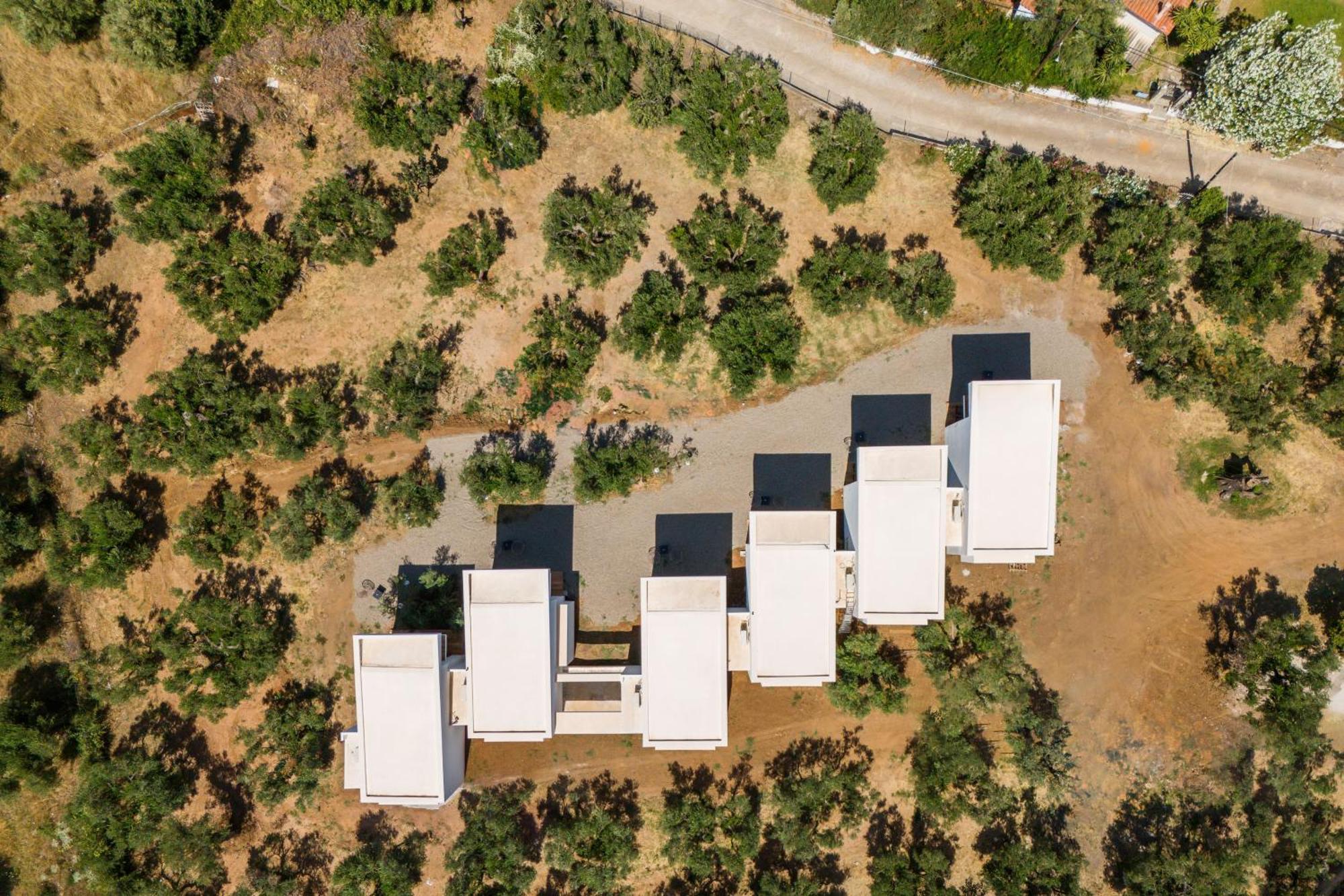 Olea Villas By Halu!, Cozy Villa In Nikiti Lagomandra Exterior foto