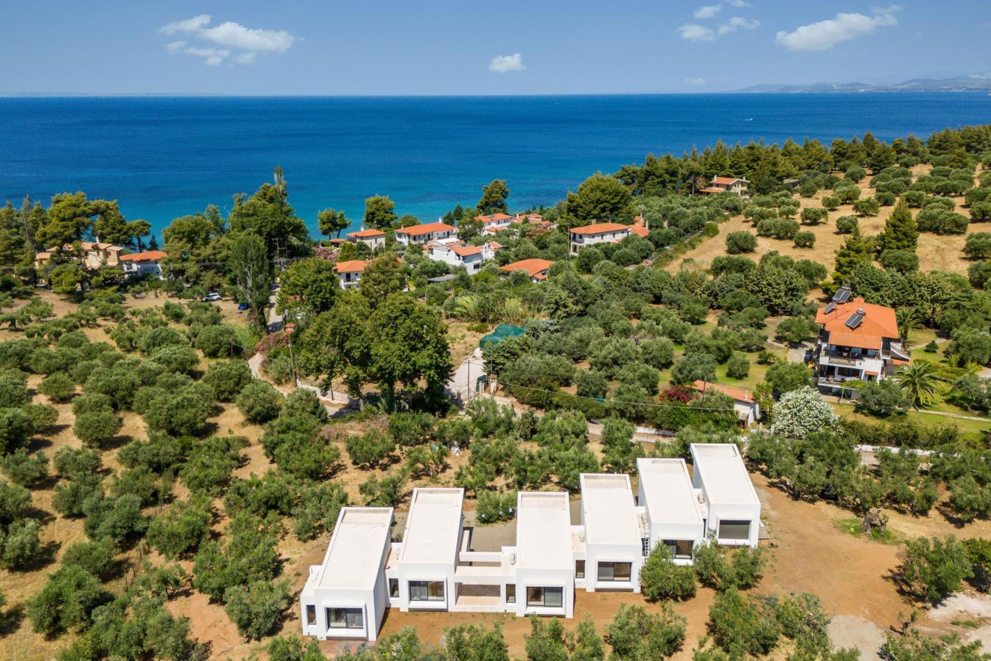 Olea Villas By Halu!, Cozy Villa In Nikiti Lagomandra Exterior foto