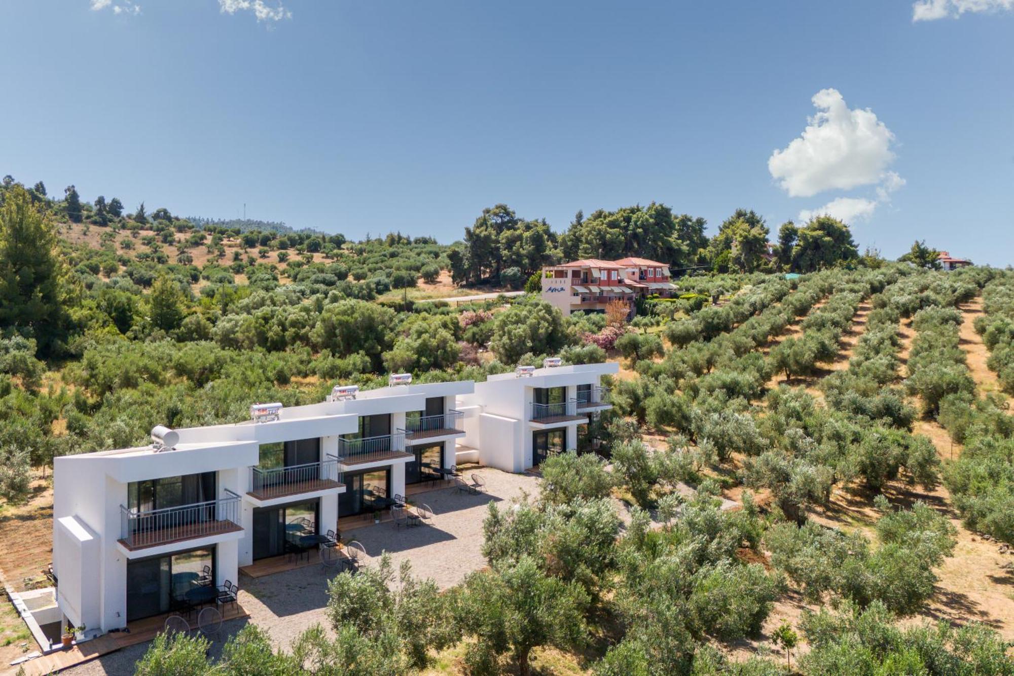 Olea Villas By Halu!, Cozy Villa In Nikiti Lagomandra Exterior foto